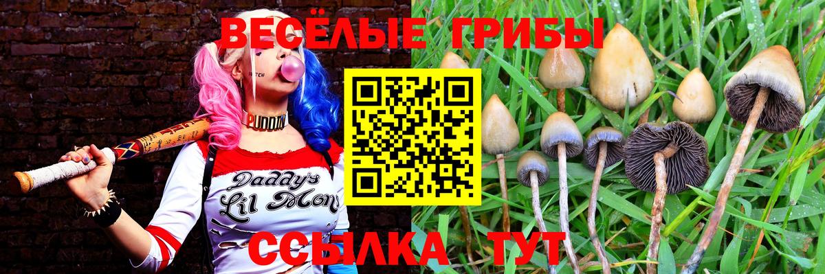 Псилоцибиновые грибы GOLDEN TEACHER  Галлюциногенные грибы прущие грибы  Вход с VPN  Елизово 